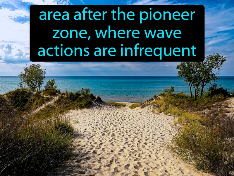 Scrub Zone Definition Scrub Zone Definition