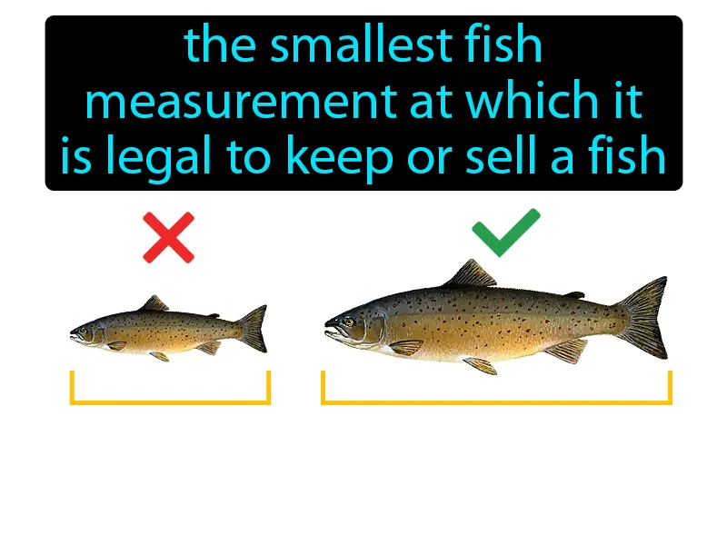 Size Limit Definition Size Limit Definition