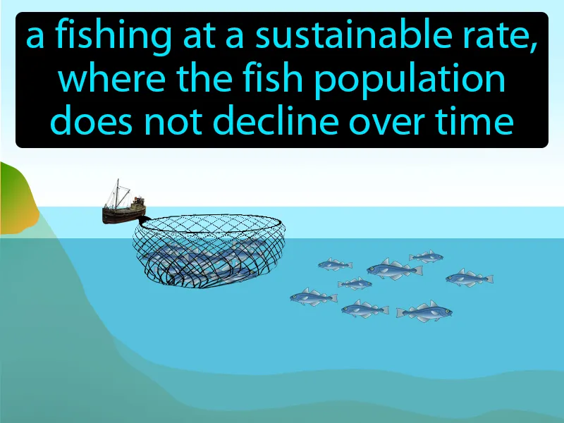 Sustainable Fishing Definition Sustainable Fishing Definition
