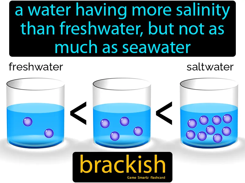 Brackish Definition Brackish Definition