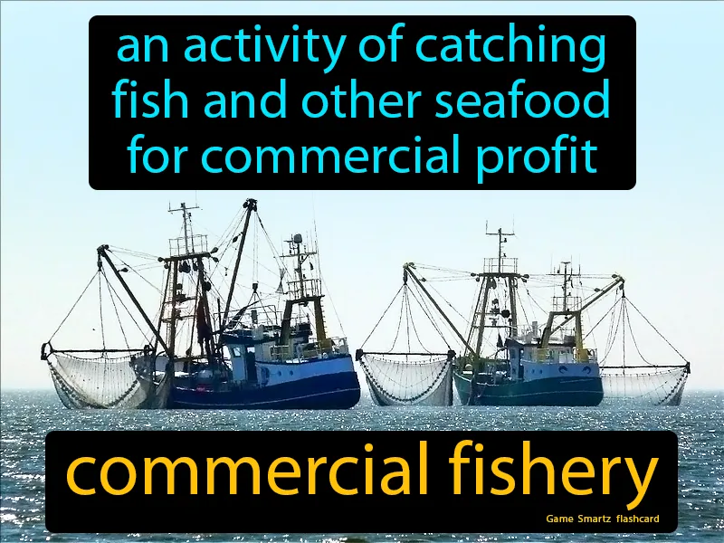 Commercial Fishery Definition Commercial Fishery Definition