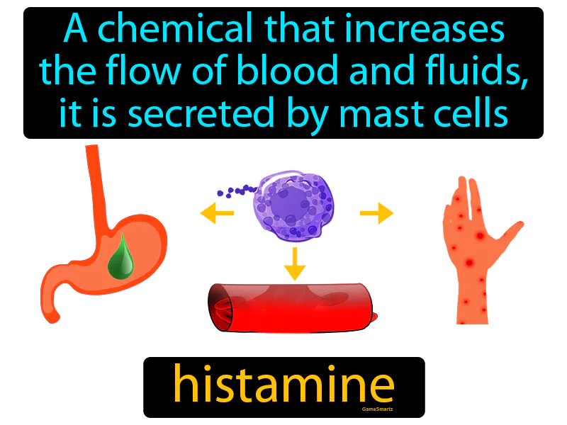 Histamine Definition Histamine Definition