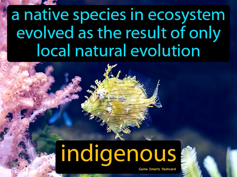 Indigenous Definition Indigenous Definition