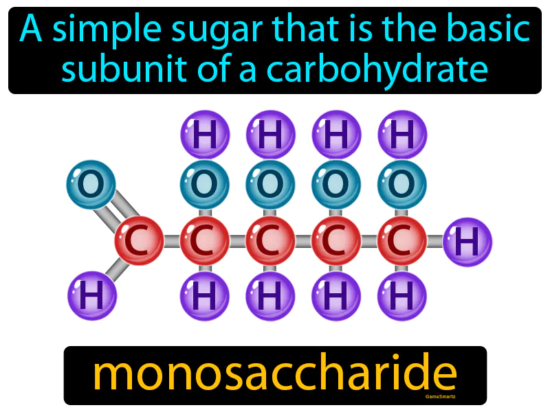 Monosaccharide Definition Monosaccharide Definition