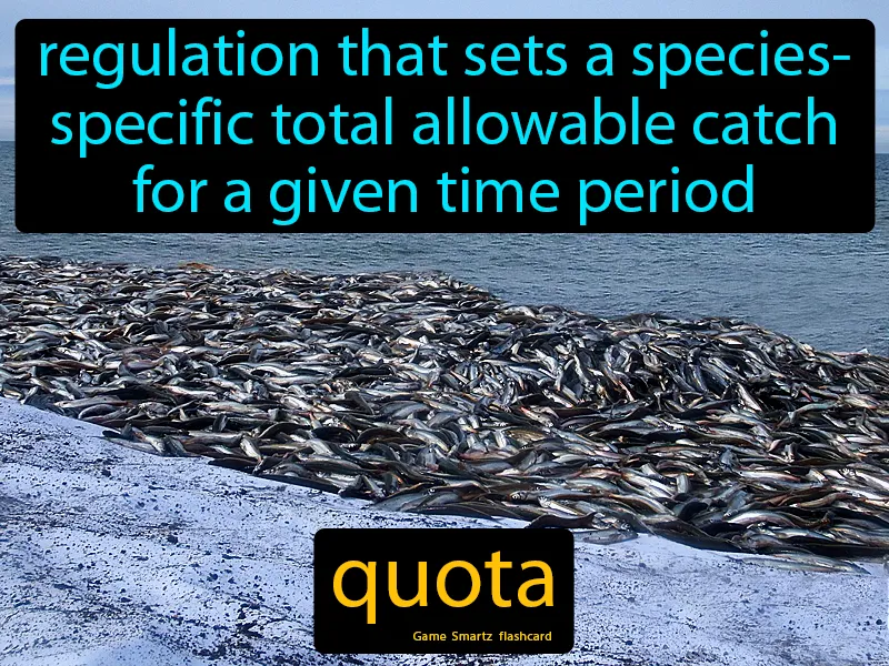 Quota Definition Quota Definition