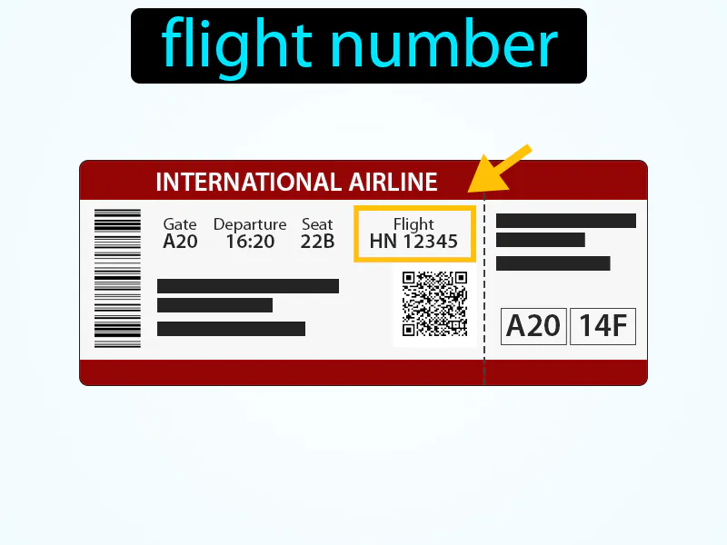 El Numero Del Vuelo Definition