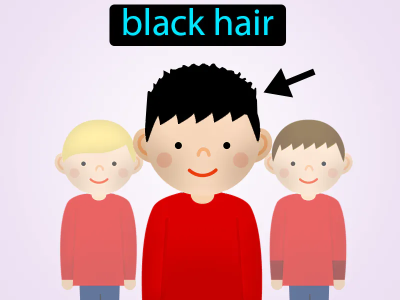 El Pelo Negro Definition
