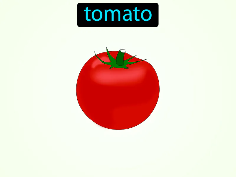 El Tomate Definition El Tomate Definition