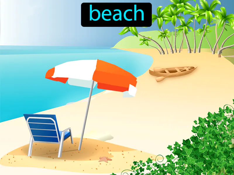 La Playa Definition La Playa Definition