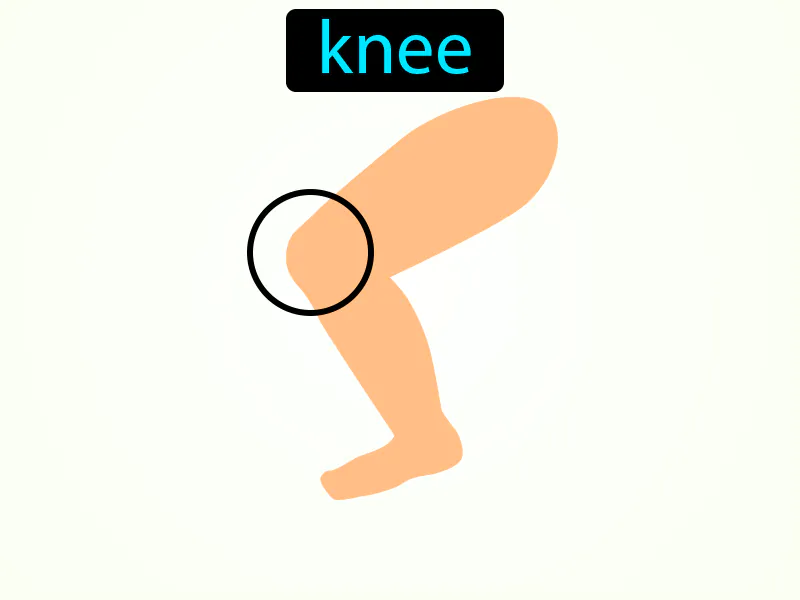 La Rodilla Definition