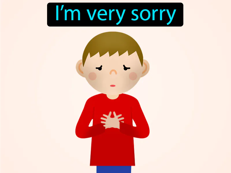 Lo Siento Mucho Definition