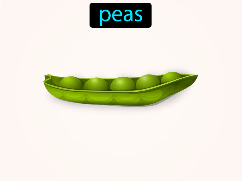 Los Guisantes Definition Los Guisantes Definition