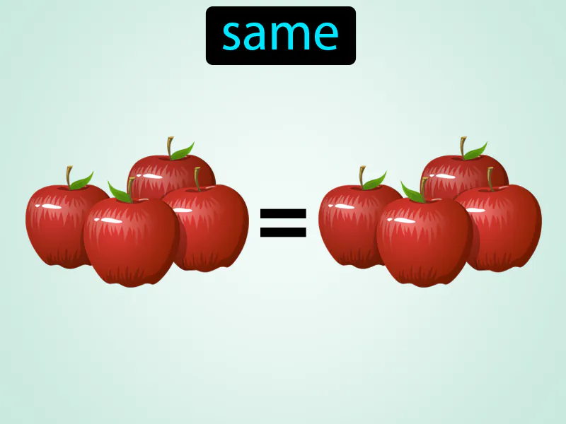 Mismo Definition Mismo Definition