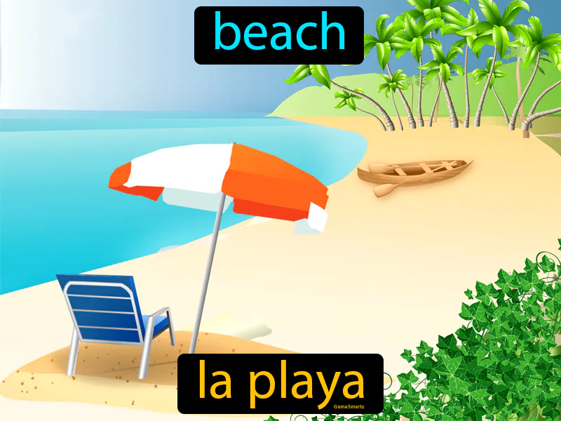 La Playa Definition La Playa Definition